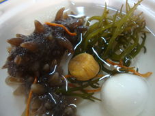 海芝宝海龙爪 批发采购、厂家对接、产品展示与餐饮管理一站式指南